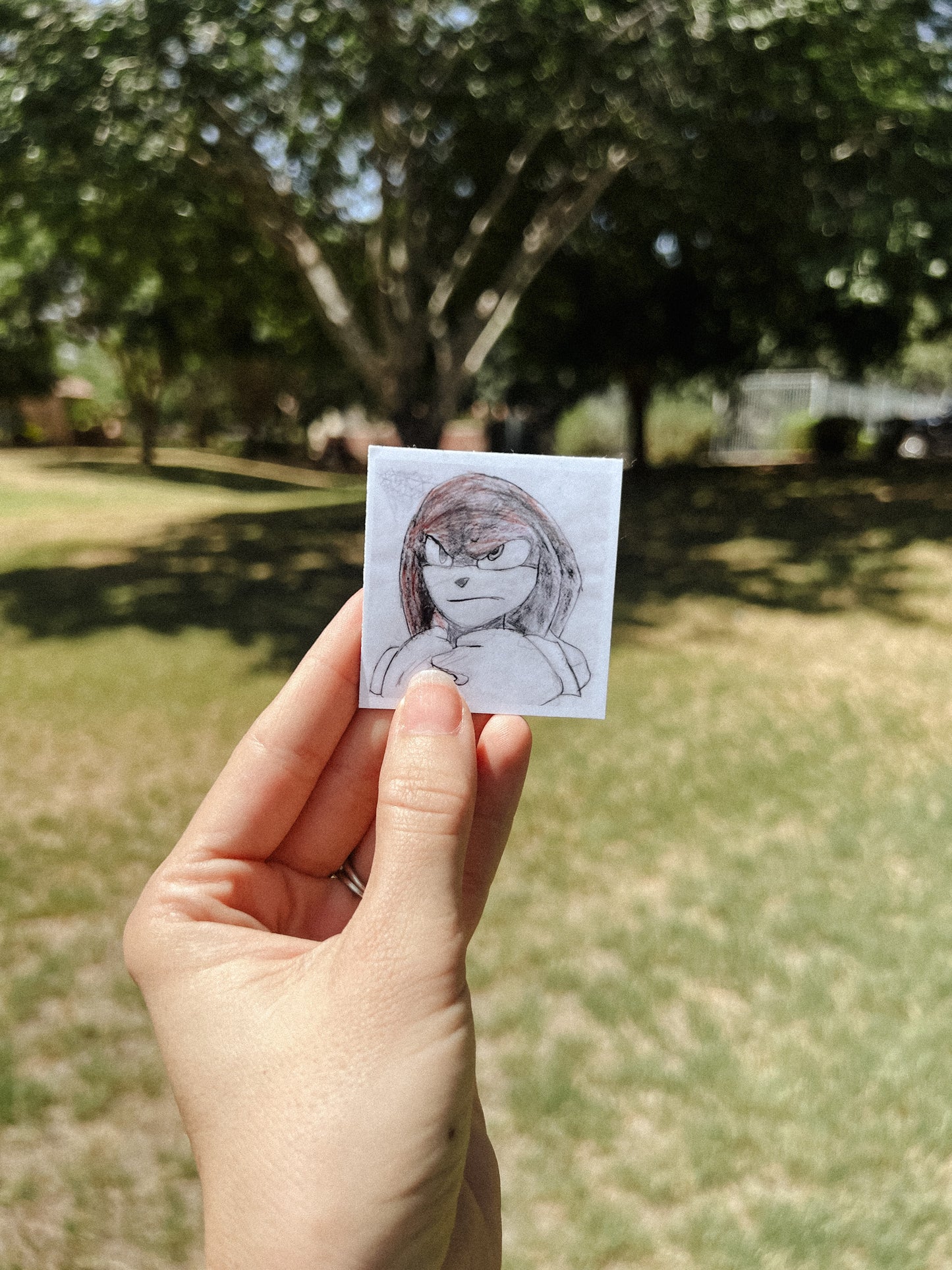 Custom Photo Magnets – Turn Your Pictures into Fridge Worthy Art